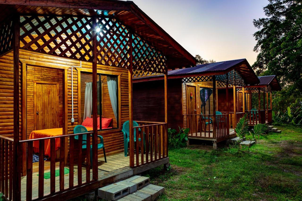 Hotel Oso De Osa à Sierpe Extérieur photo