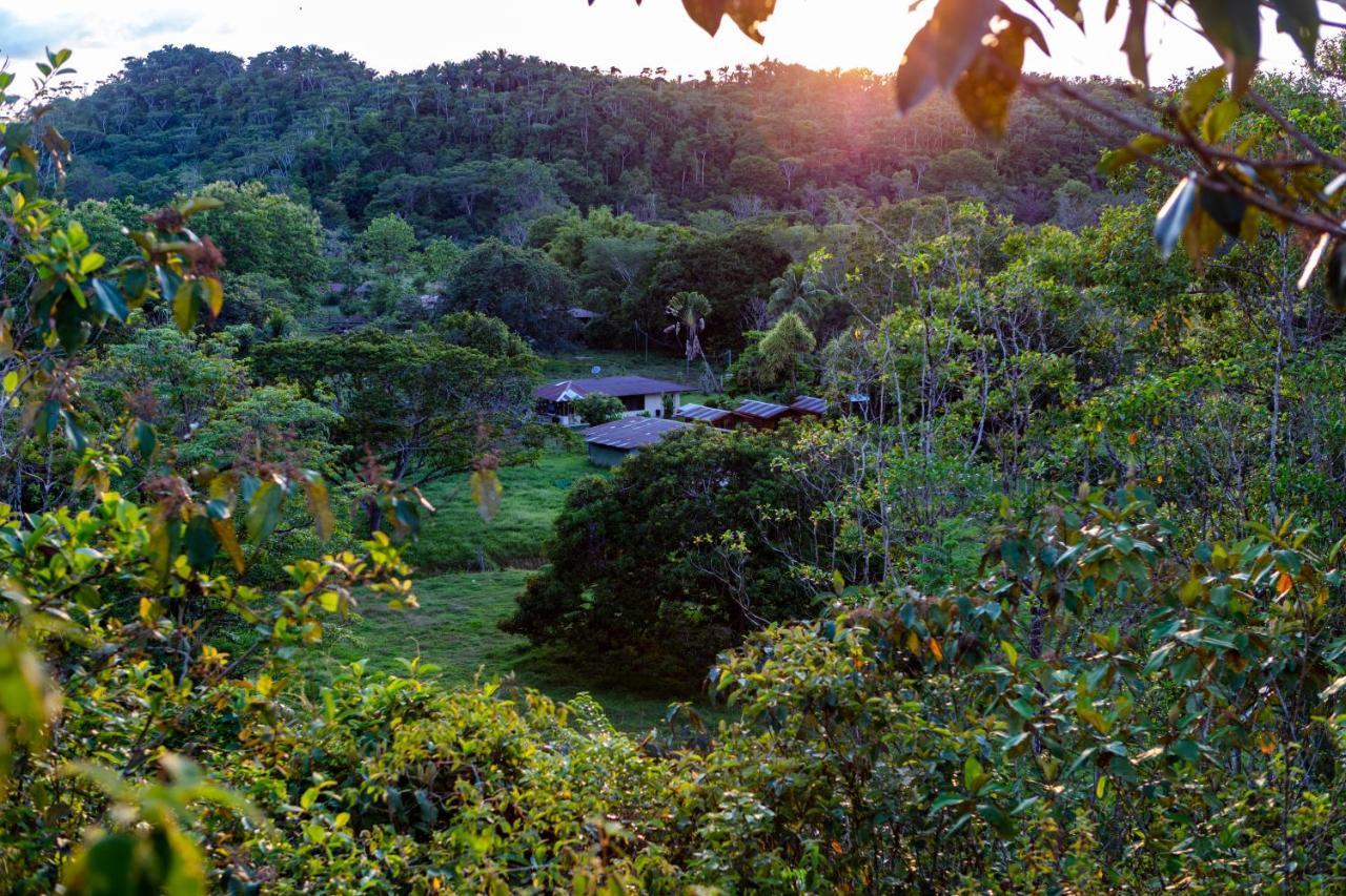 Hotel Oso De Osa à Sierpe Extérieur photo