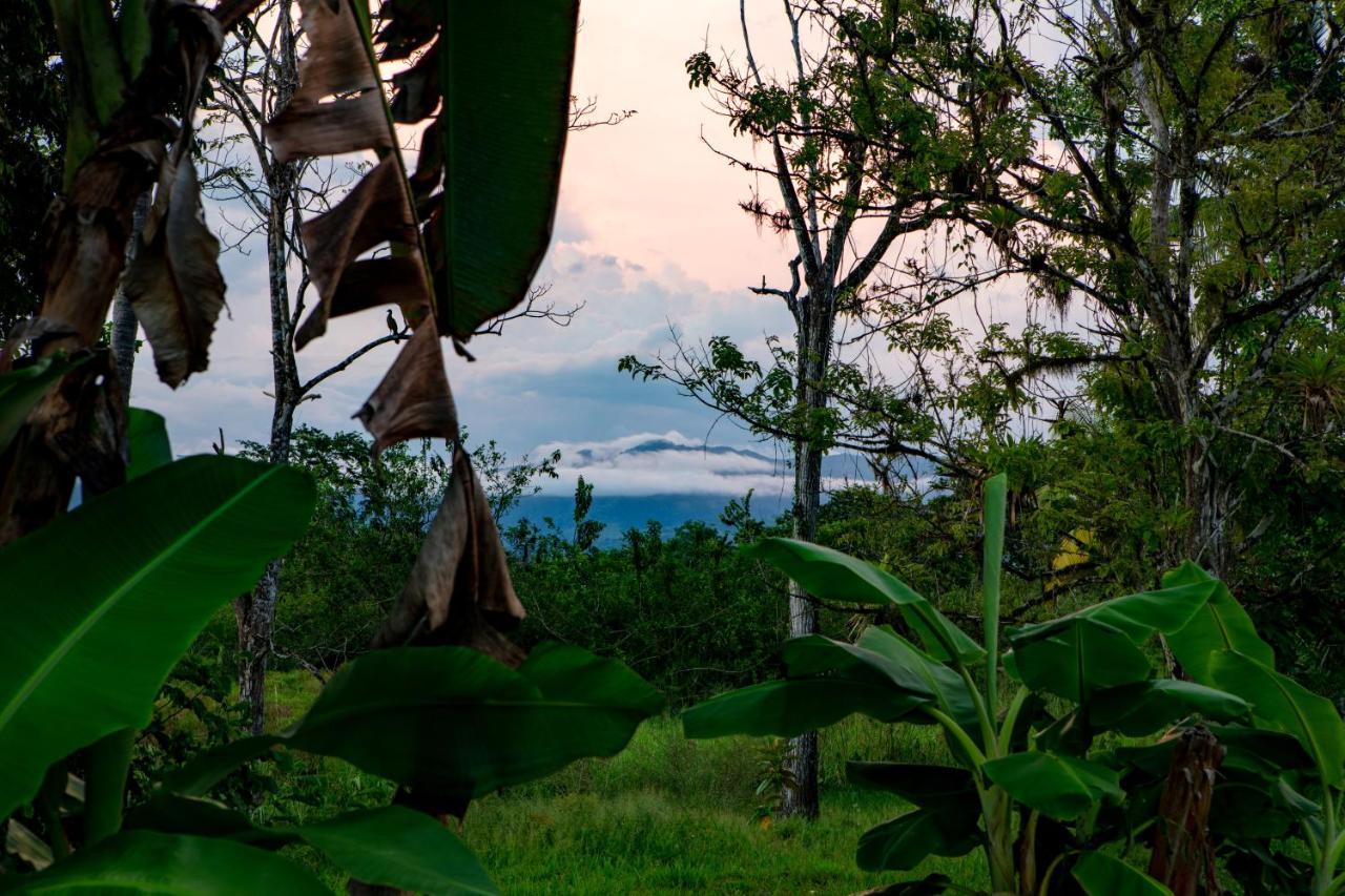Hotel Oso De Osa à Sierpe Extérieur photo