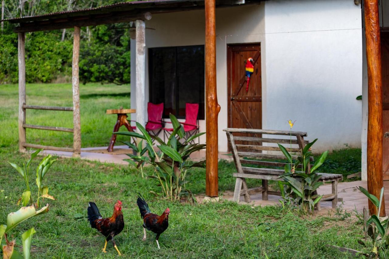 Hotel Oso De Osa à Sierpe Extérieur photo