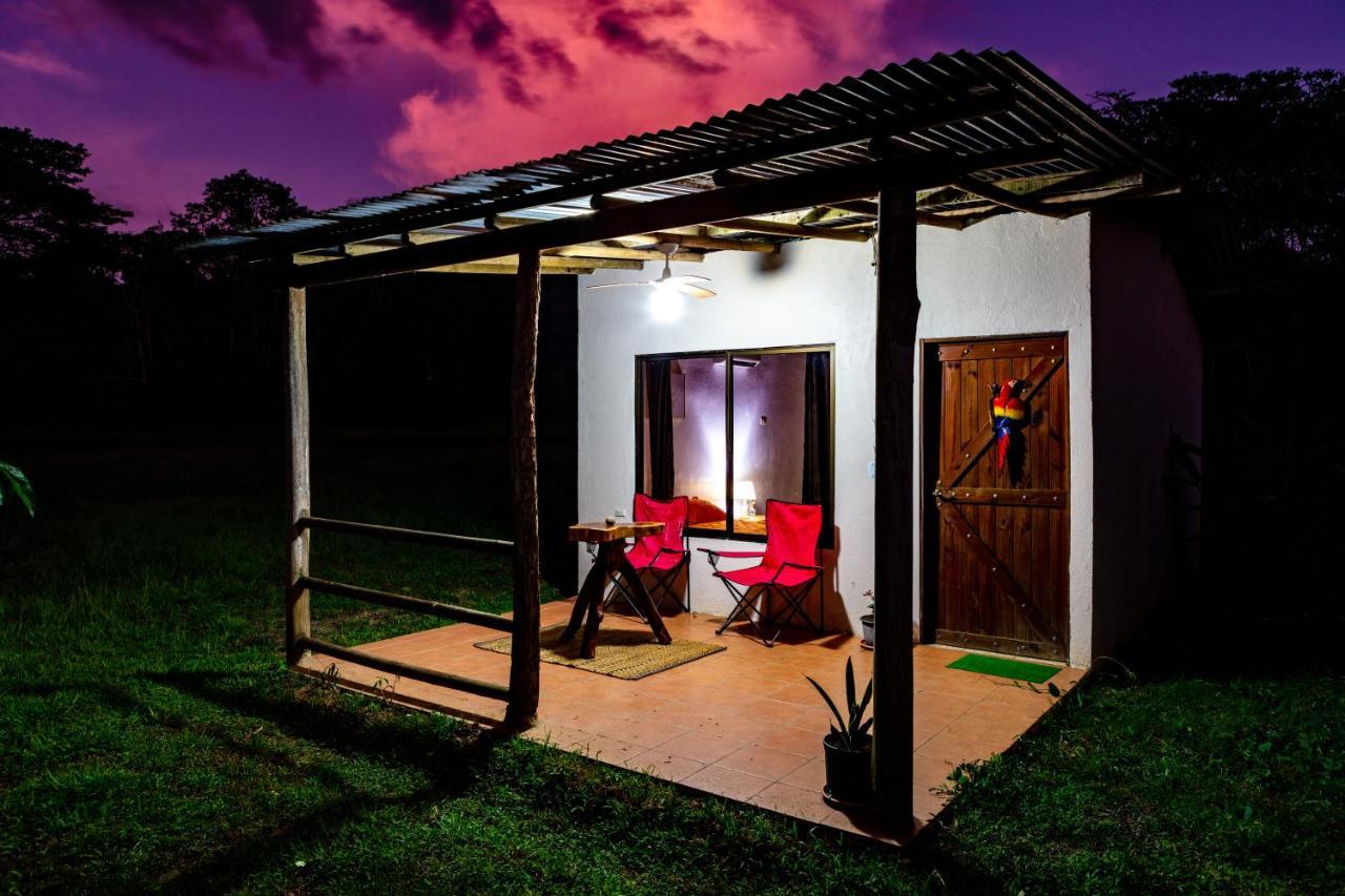 Hotel Oso De Osa à Sierpe Extérieur photo